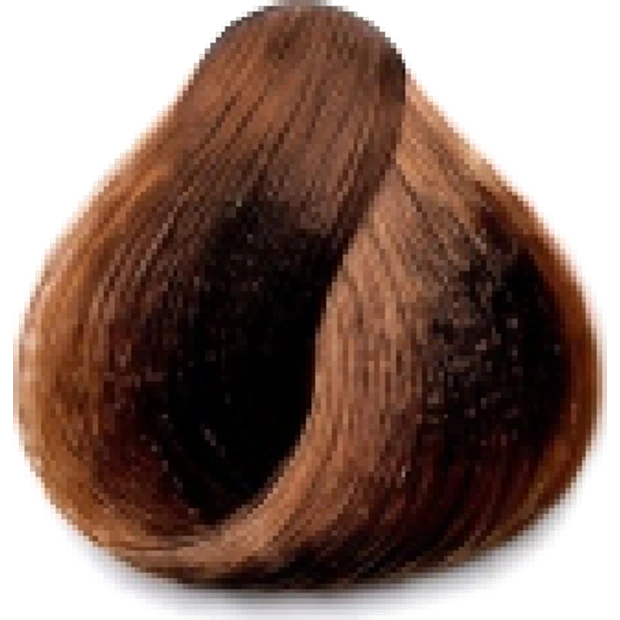 Dark Golden Blond hair colour swatch
